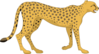 Walking Cheetah Clip Art